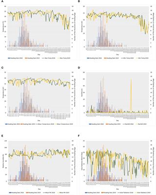 Genetic architecture of head rice and rice chalky grain percentages using genome-wide association studies